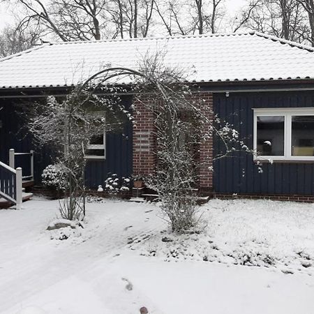 Ferienwohnung Am Freitagsbach Celle Dış mekan fotoğraf